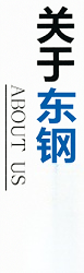 重庆东钢冶金材料有限公司